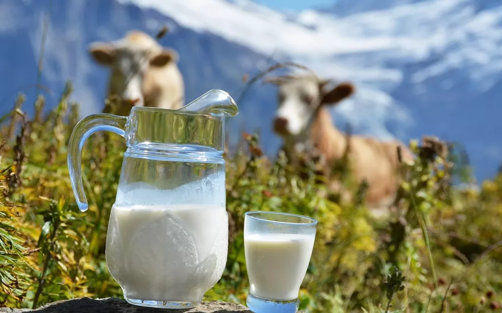 фотография продукта Сырое молоко